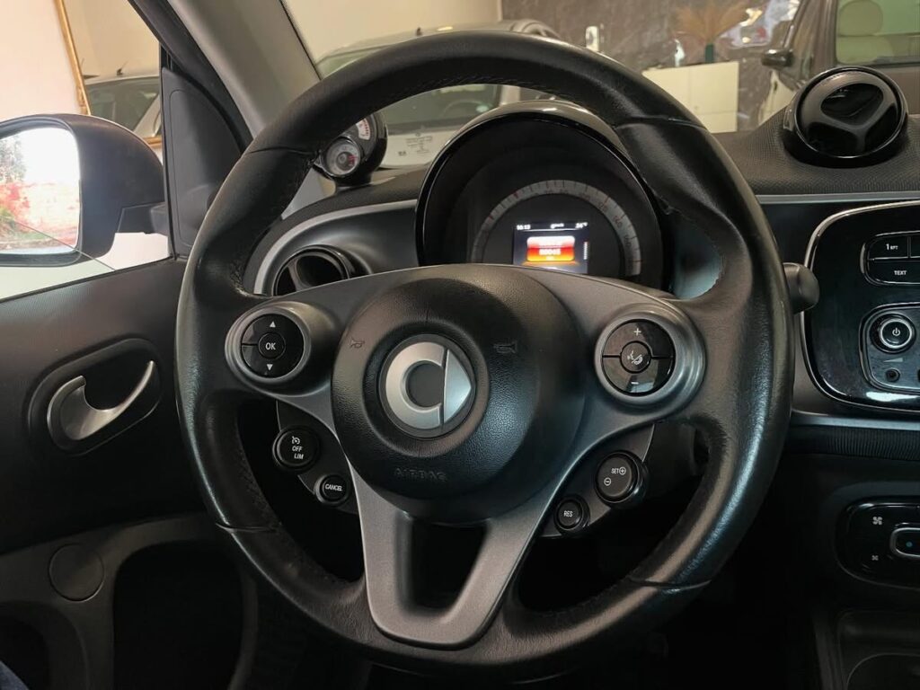 Smart Twinamic Passion