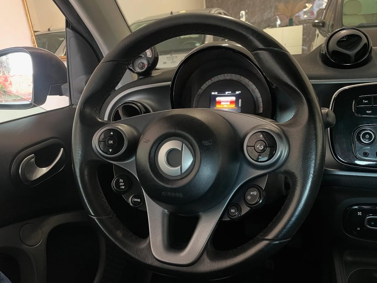 Smart Twinamic Passion